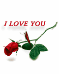 pic for I love you